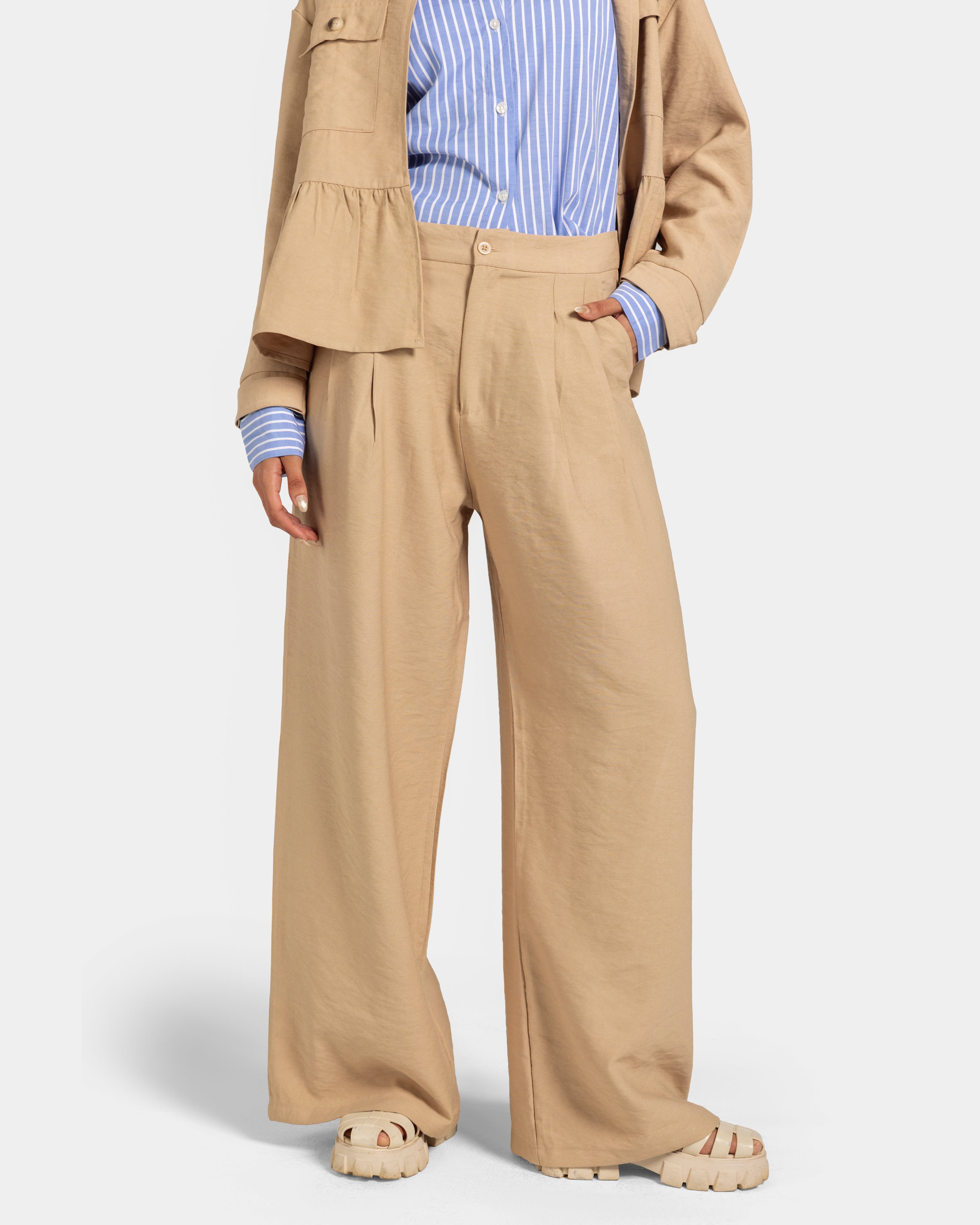 Pleated Pants